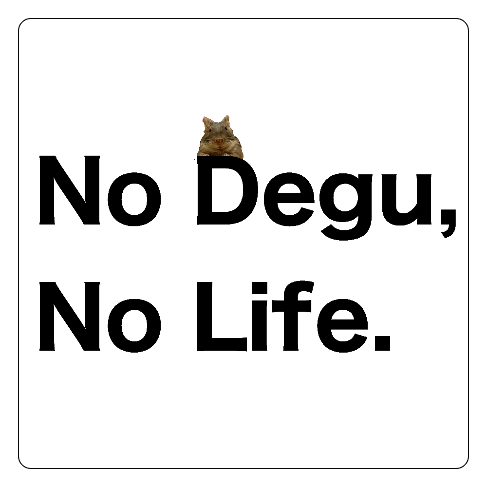 No Degu,No Life. 白雲石コースター　四角