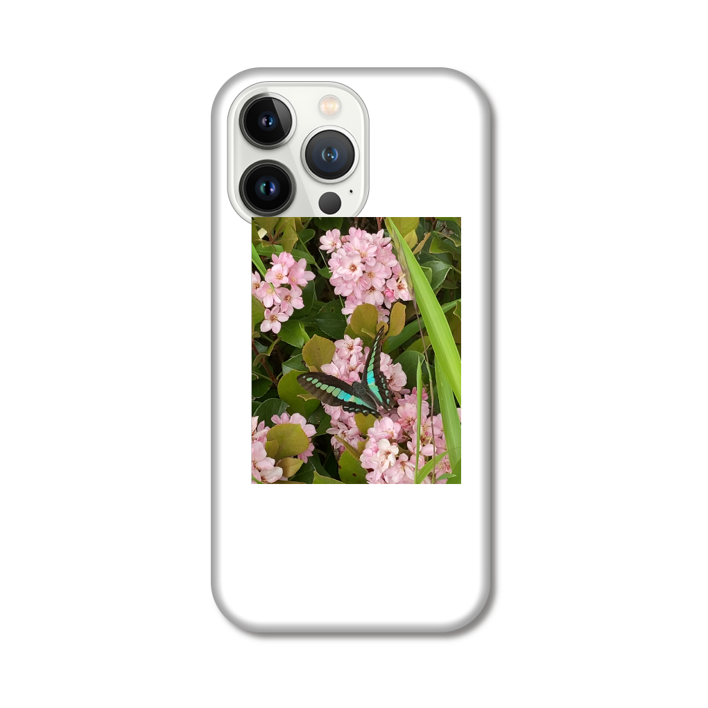 蝶 iPhone13 Pro