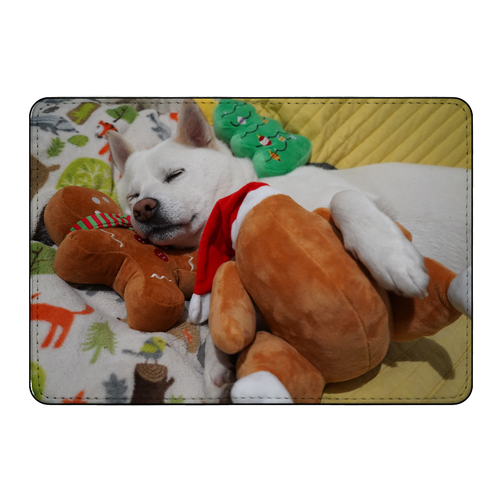 柿丸クリスマス2024 カード収納ケース