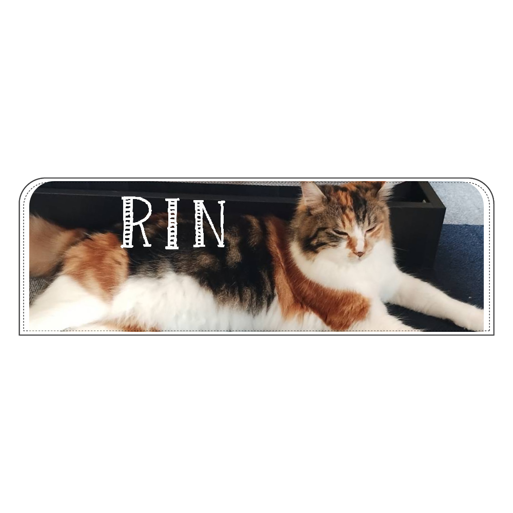 RINちゃん (ペンケース） LSG08(ペンケース)