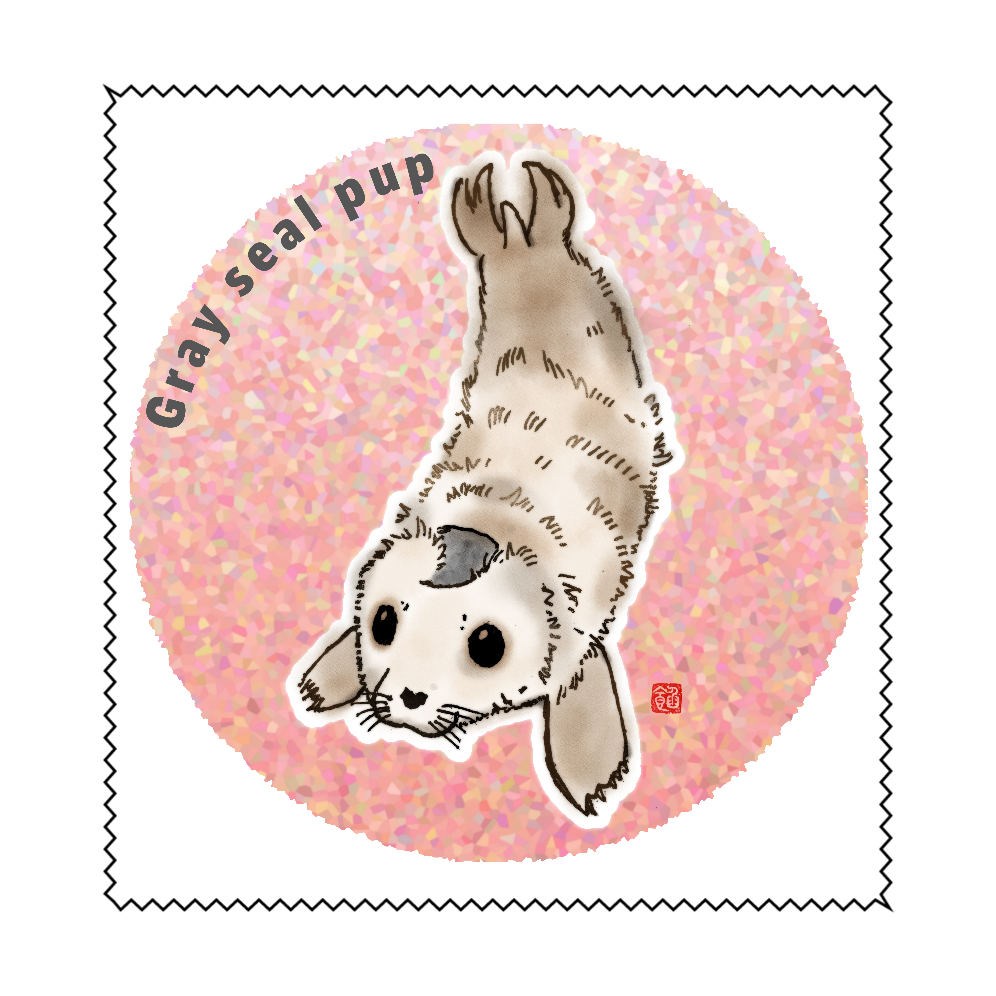 Gray seal pup マイクロファイバーメガネ拭き