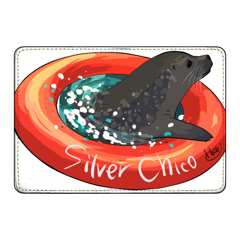 SilverChico and Floats カード収納ケース