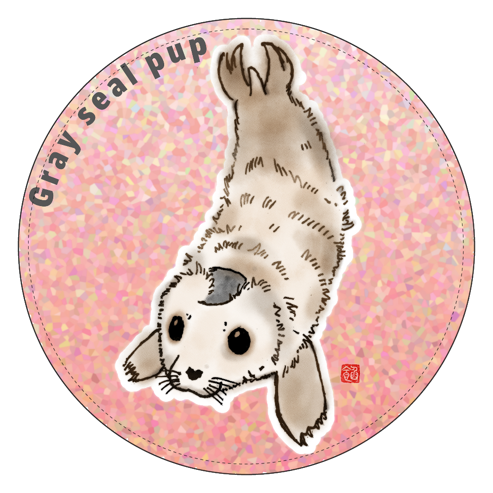 Gray seal pup コインケース