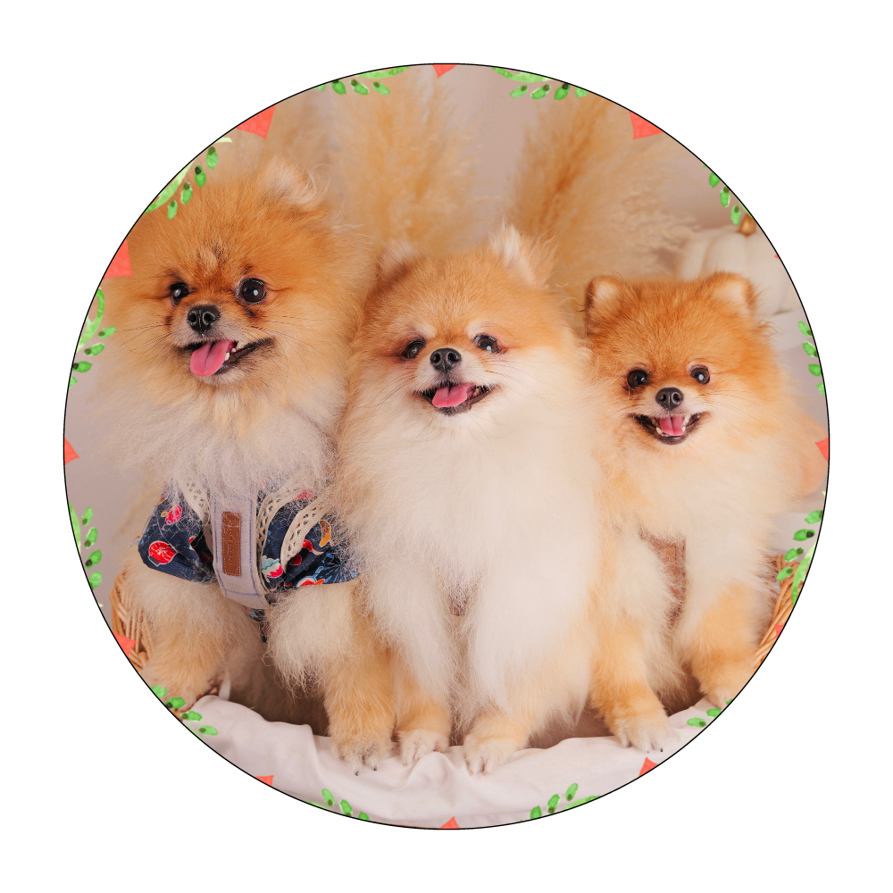 捺印マット(ラウンド) 捺印マット(ラウンド)