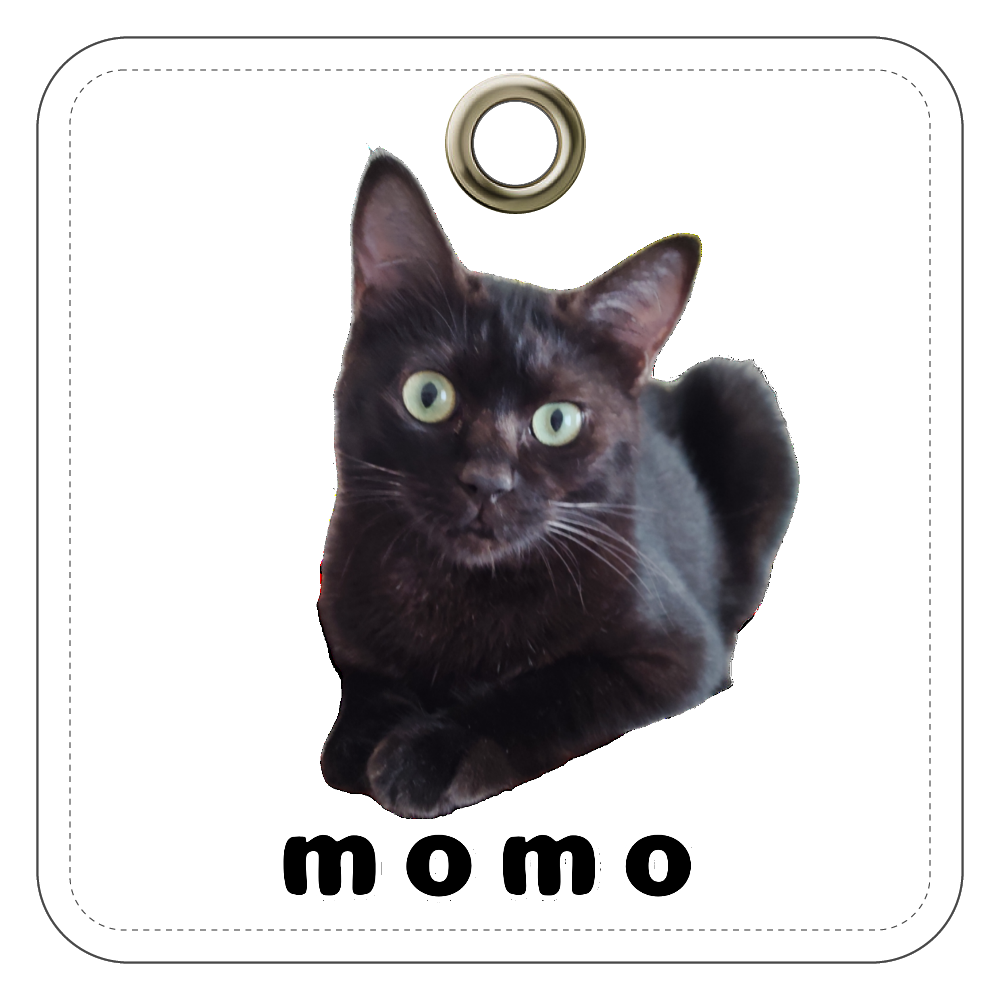 黒ねこももちゃん レザーキーホルダー（四角型）