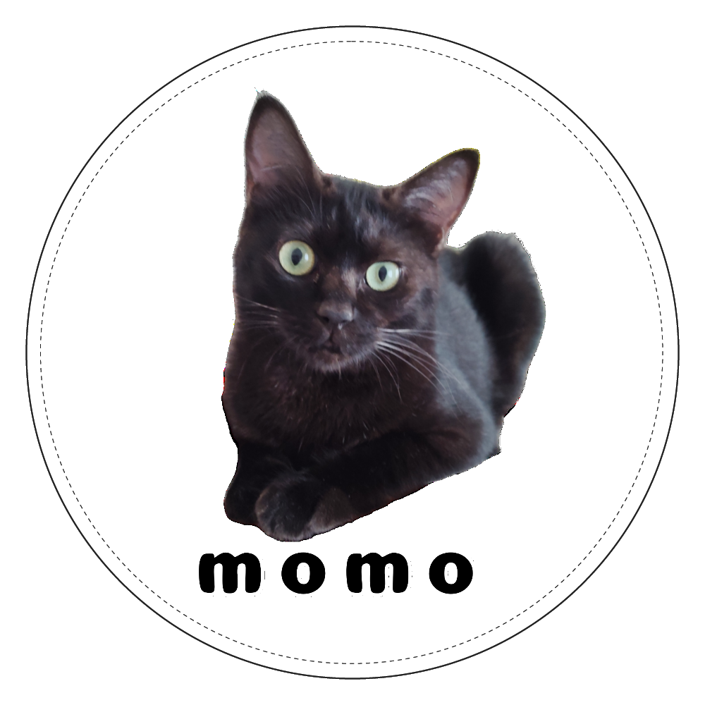 黒ねこももちゃん コインケース