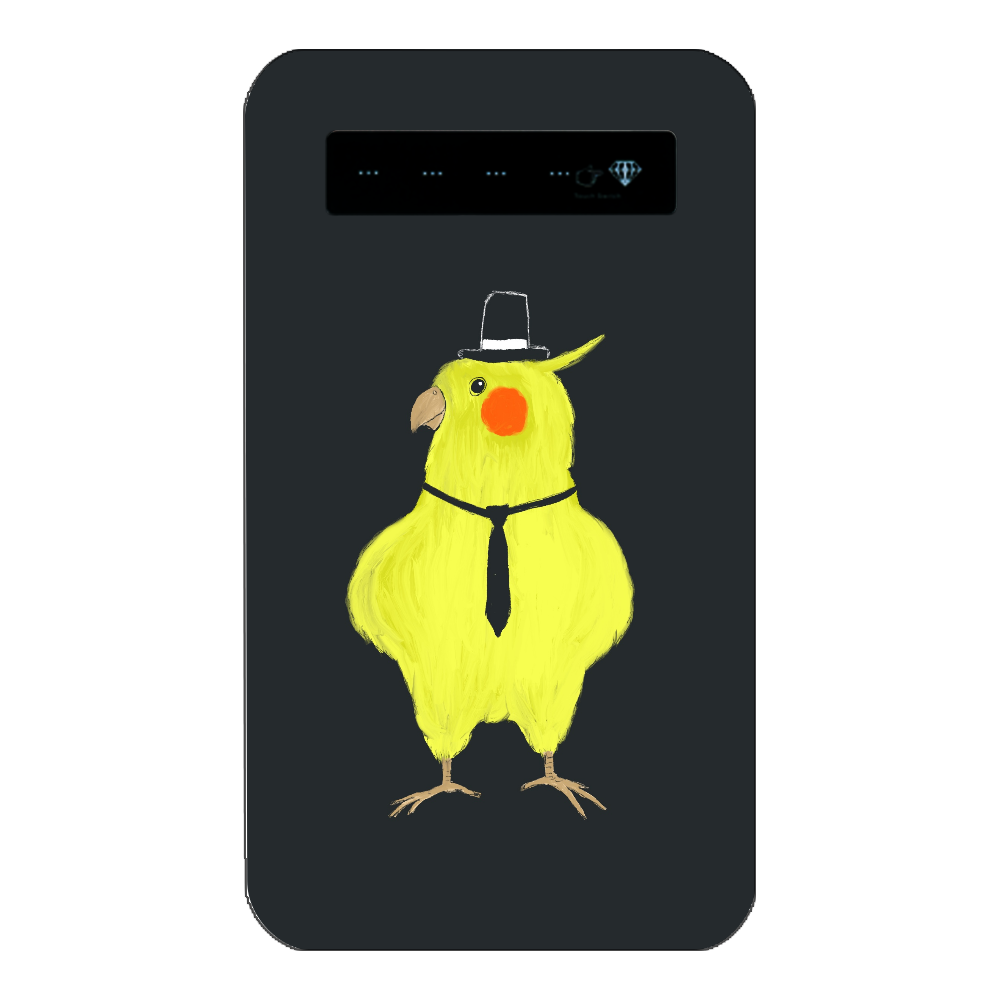 スパイみたいなオカメインコ インジケータ有バッテリー4000mAh