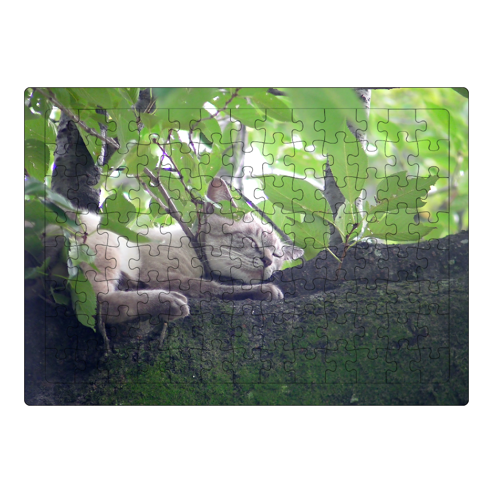 木の上で眠る猫 A4サイズ ジグソーパズル A4サイズ 104ピース