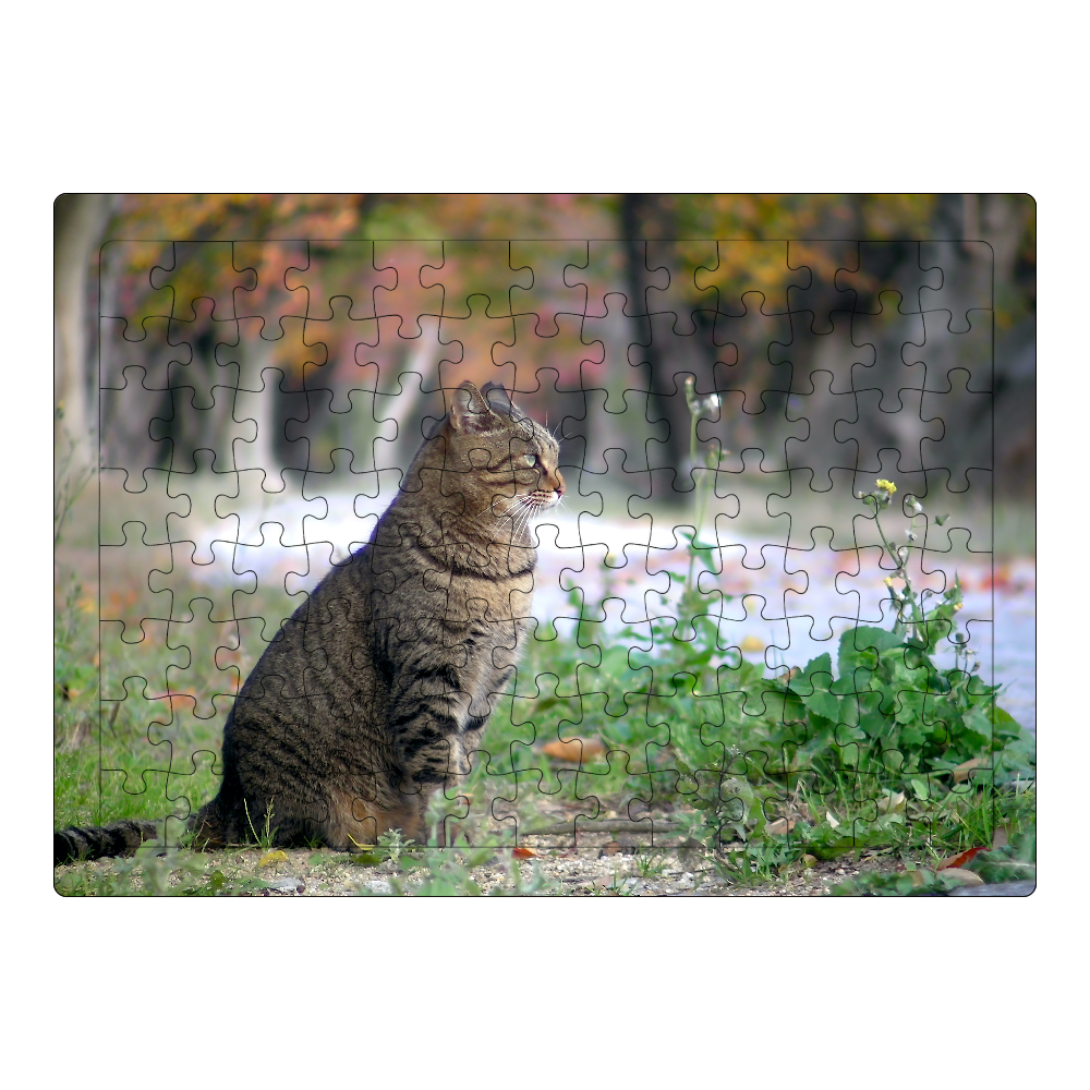 秋のキジトラ猫 A4サイズ ジグソーパズル A4サイズ 104ピース