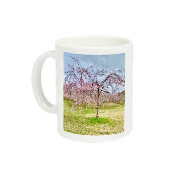 いっぽんざくら 定番マグカップ