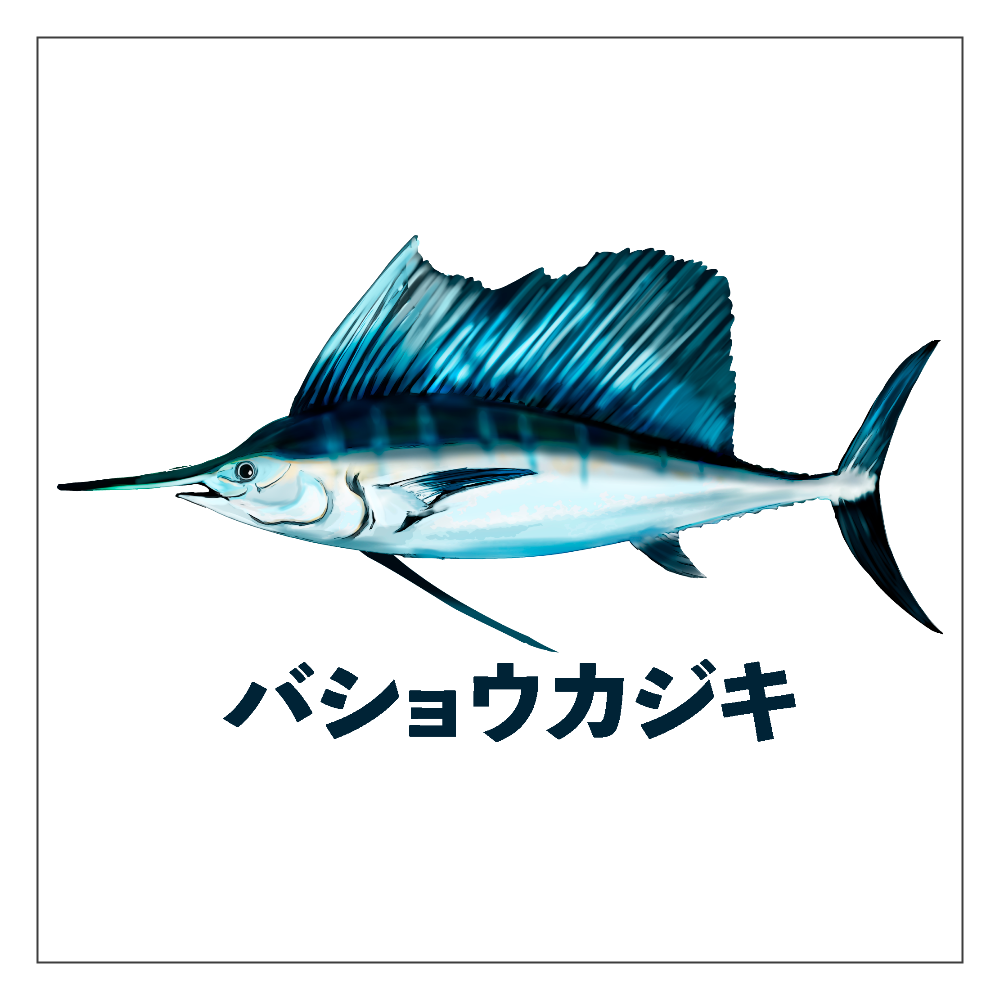 バショウカジキのイラスト パネル｜チコデザ - オリラボマーケット