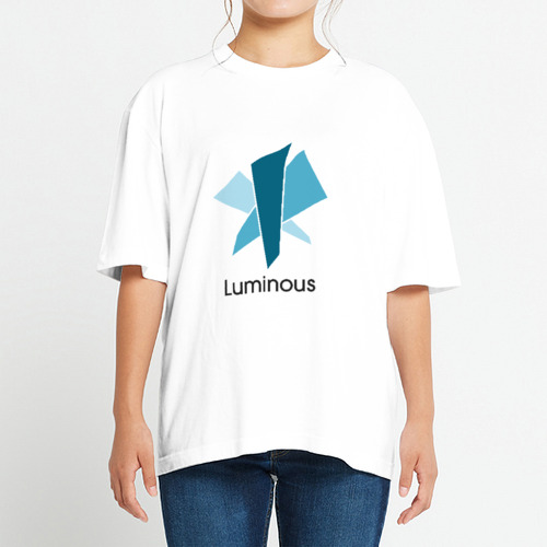 【Luminous】Tシャツ ヘビーウェイト ビッグシルエットTシャツ