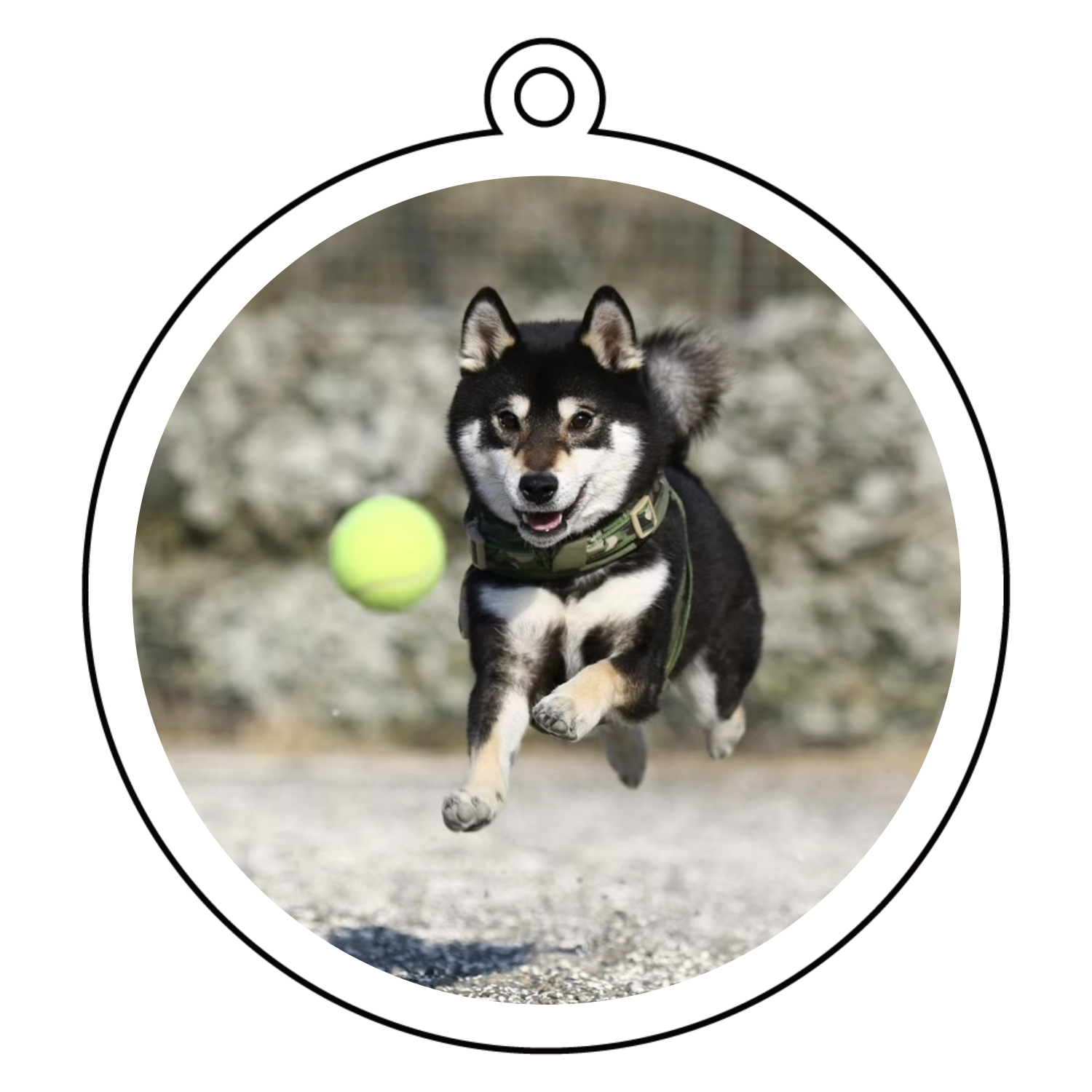 柴犬びーるのキーホルダーアクリルキーホルダー 丸型 (10cm)の