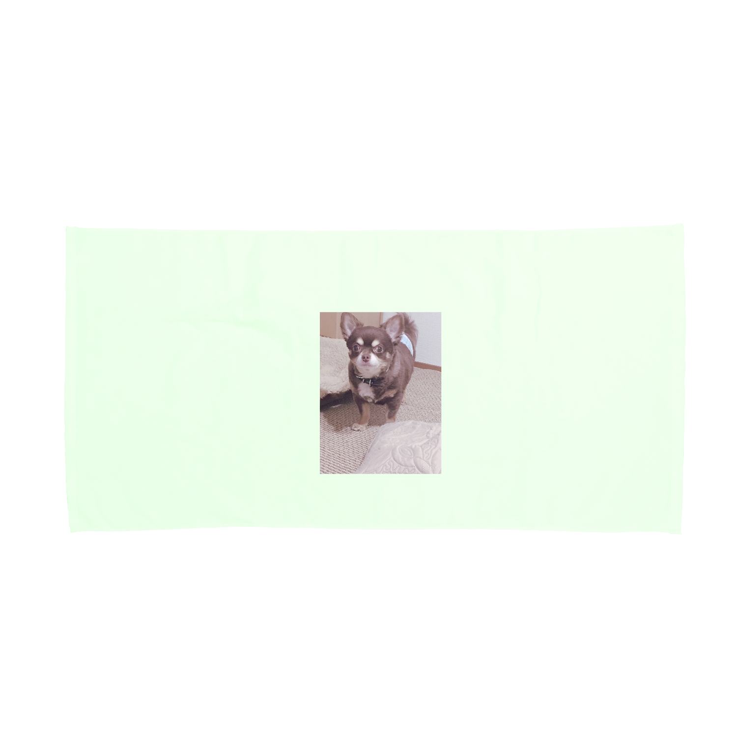 愛犬ラッキーくん スポーツタオル