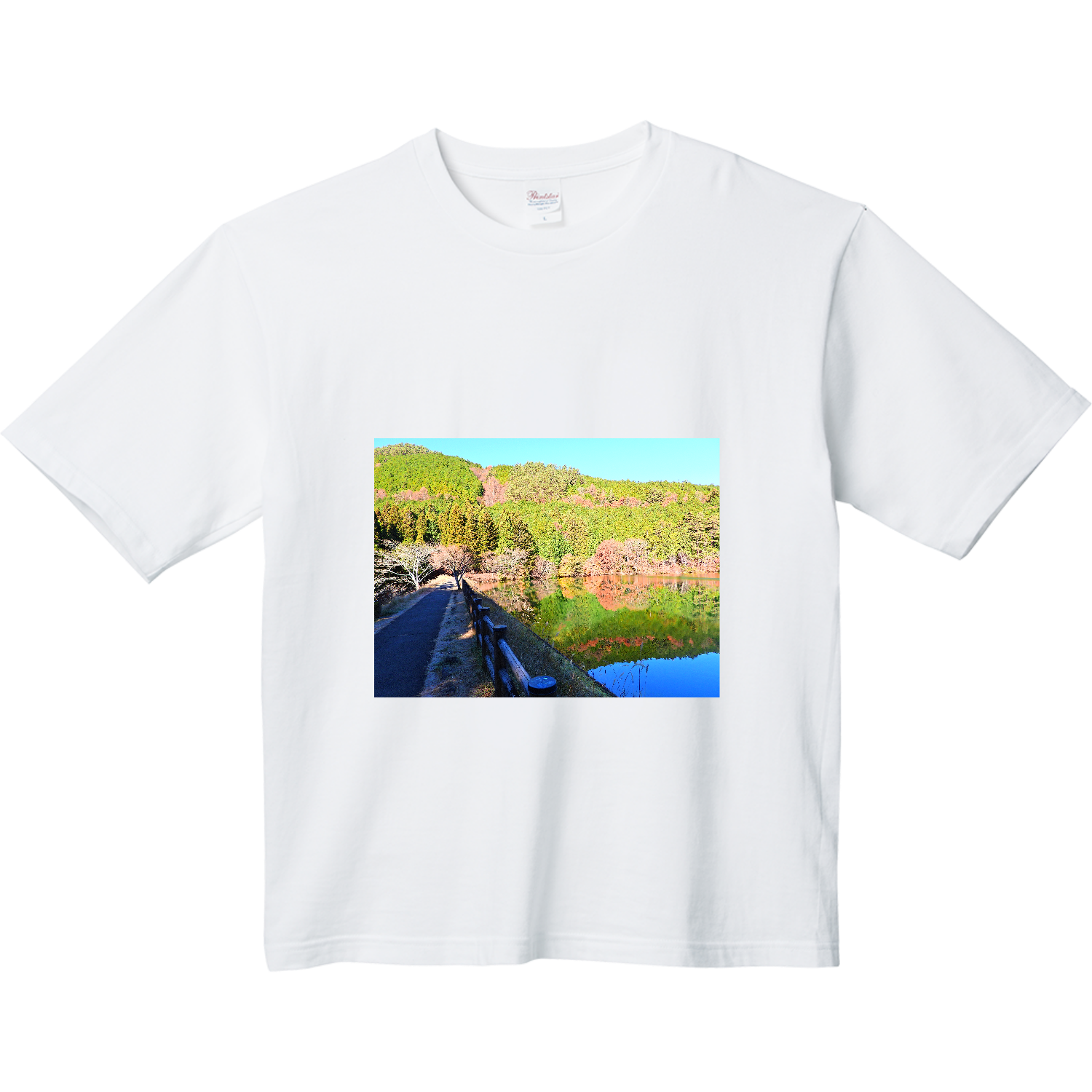 美波】シンガーソングライター | 限定Tシャツ【非売品】