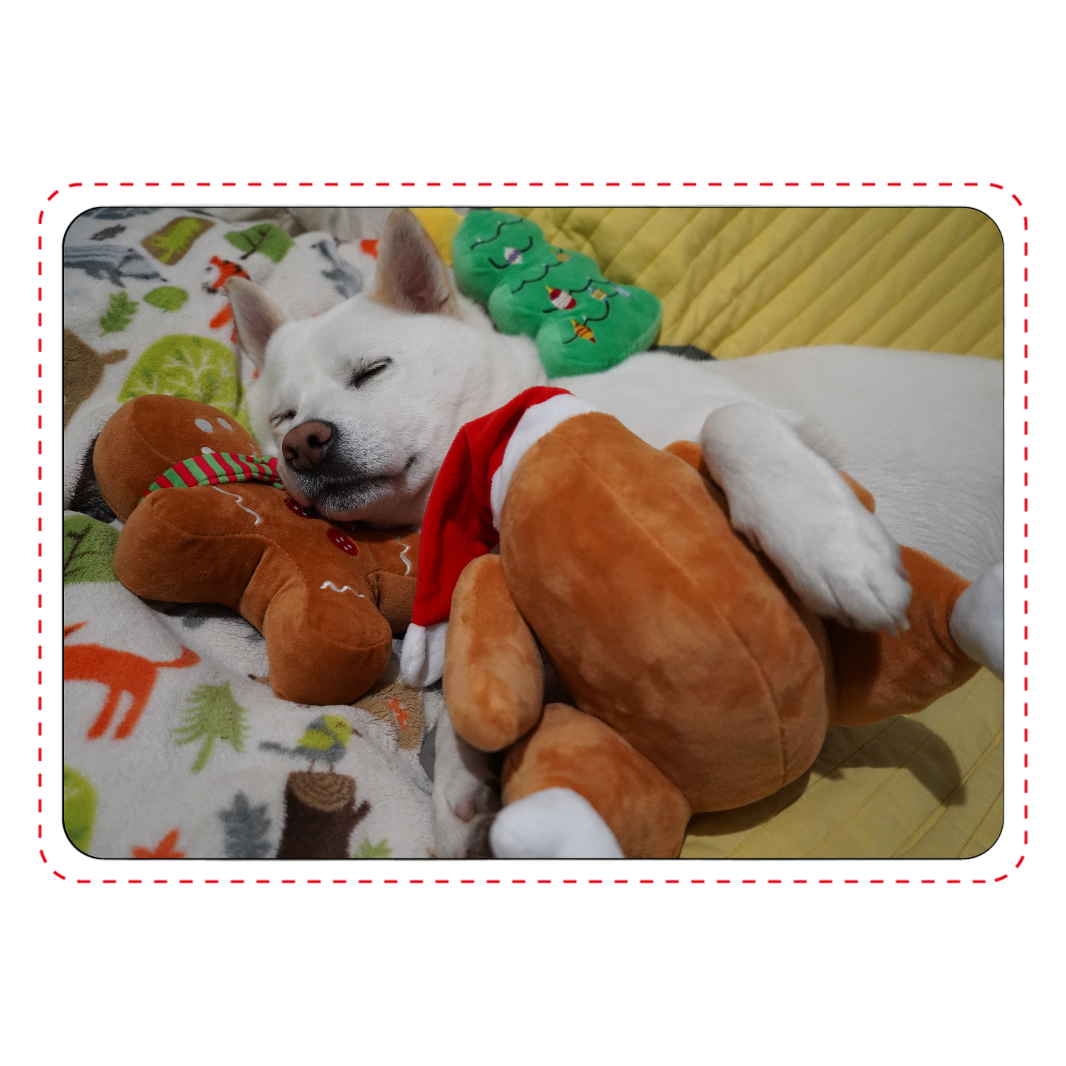 柿丸クリスマス2024カード収納ケース1