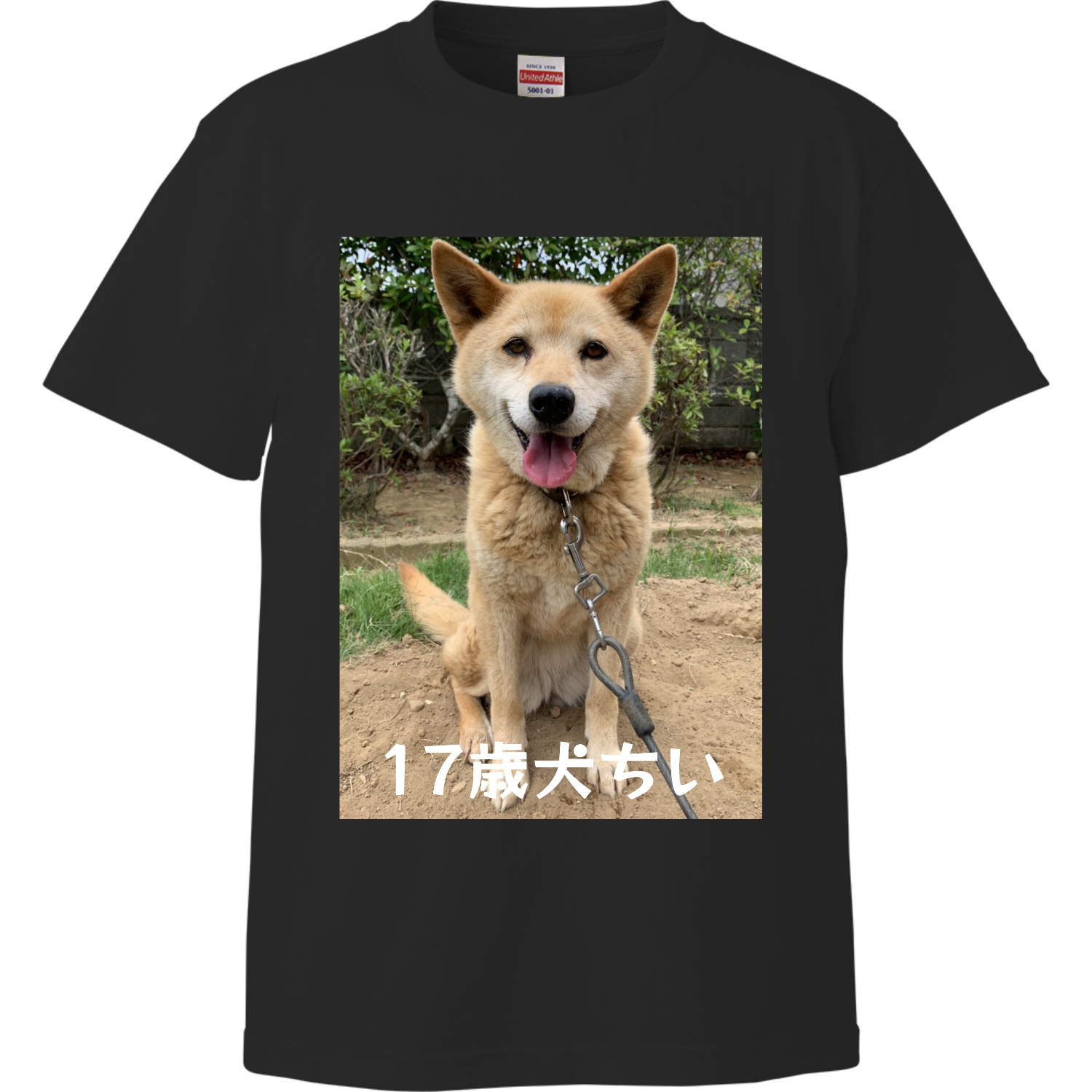 17歳犬ちいTシャツ(ハイクオリティーTシャツ)字が白バージョンハイクオリティーTシャツ1