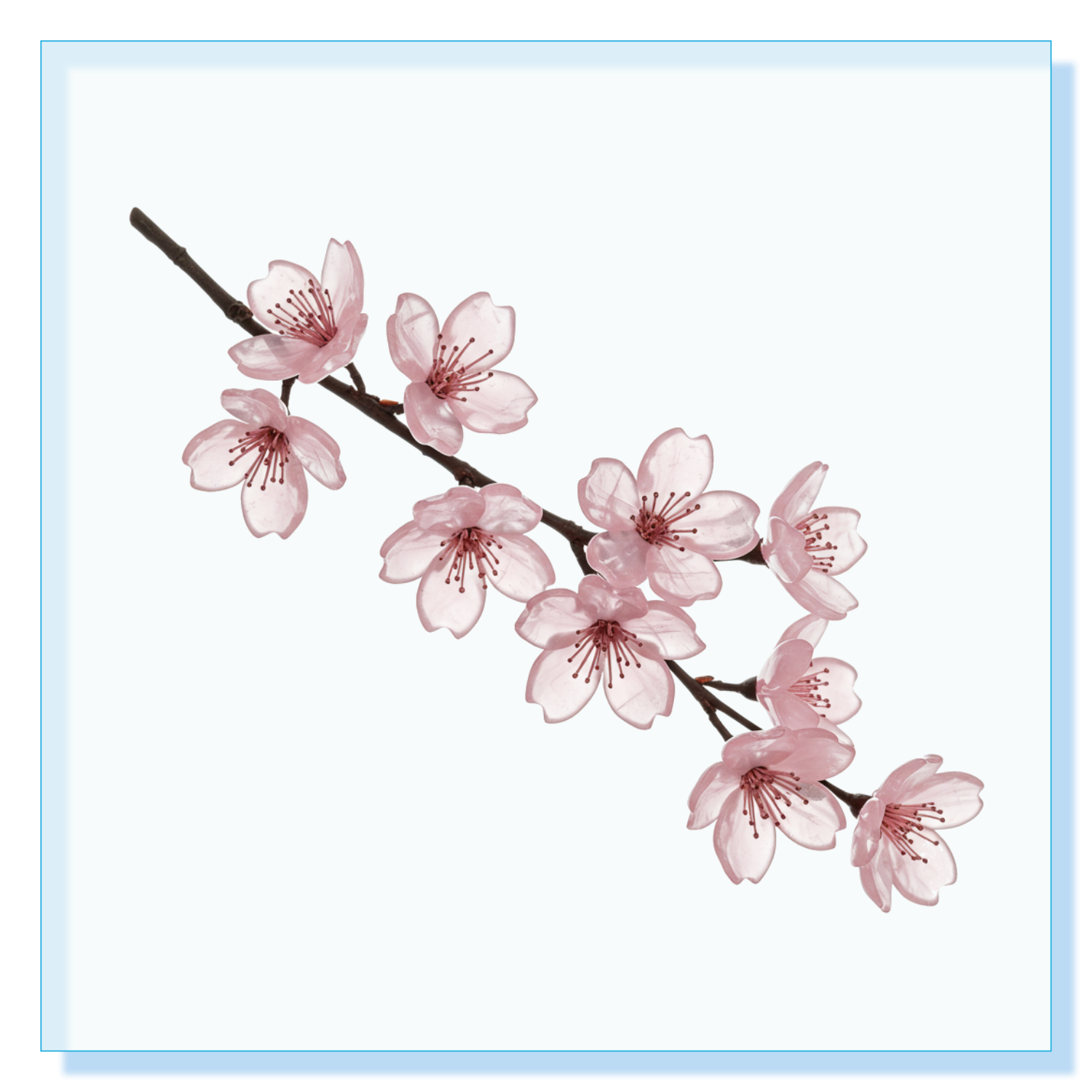 Sakura アクリルブロック (100 x 100mm)