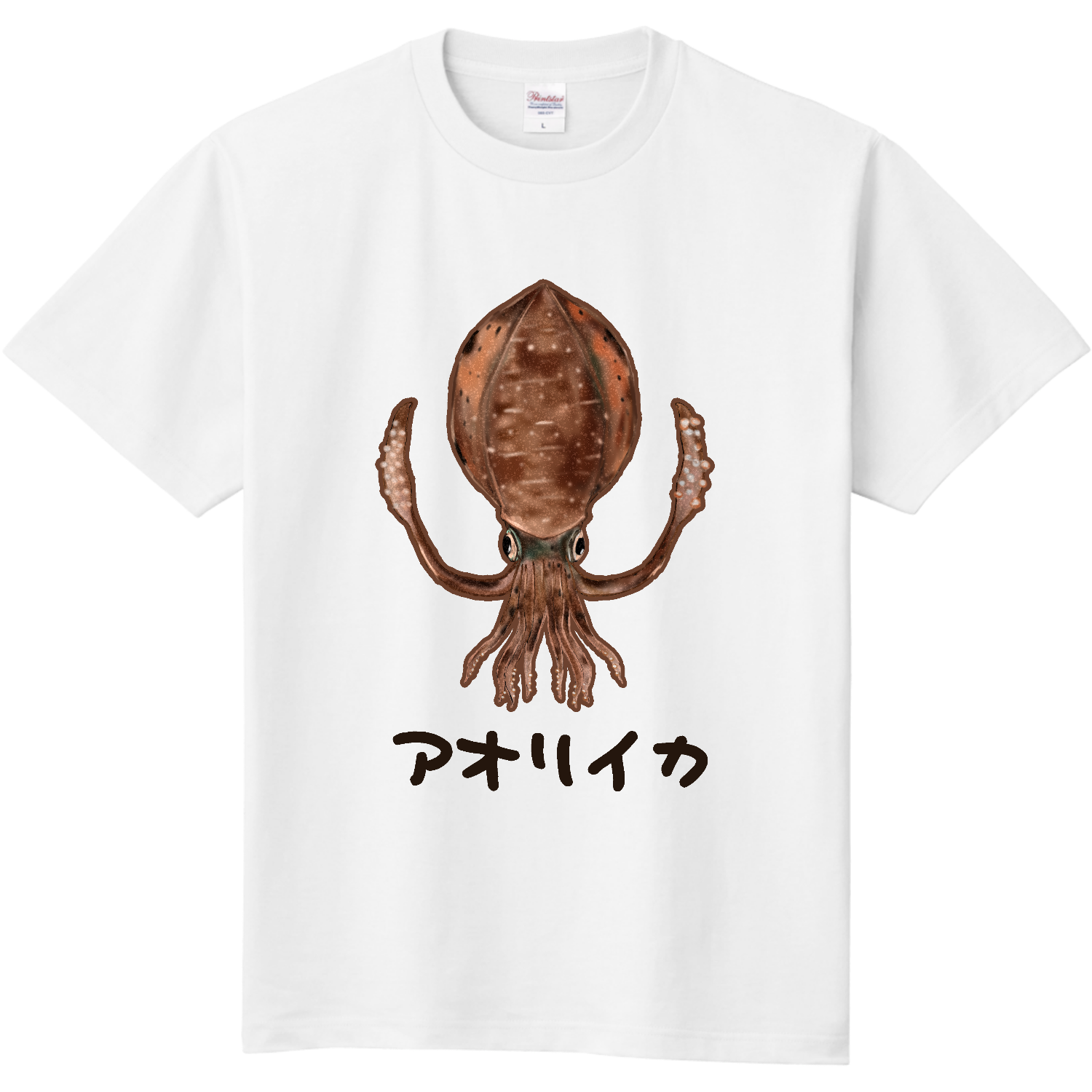 ザ・アオリイカ 定番Ｔシャツ