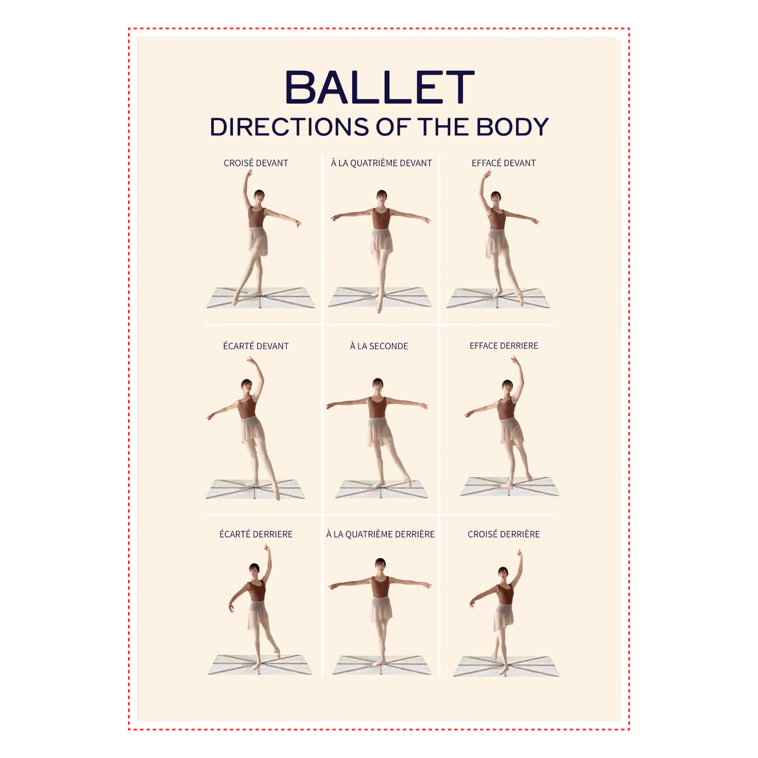 BALLET BODY POSITIONS A4クリアファイル