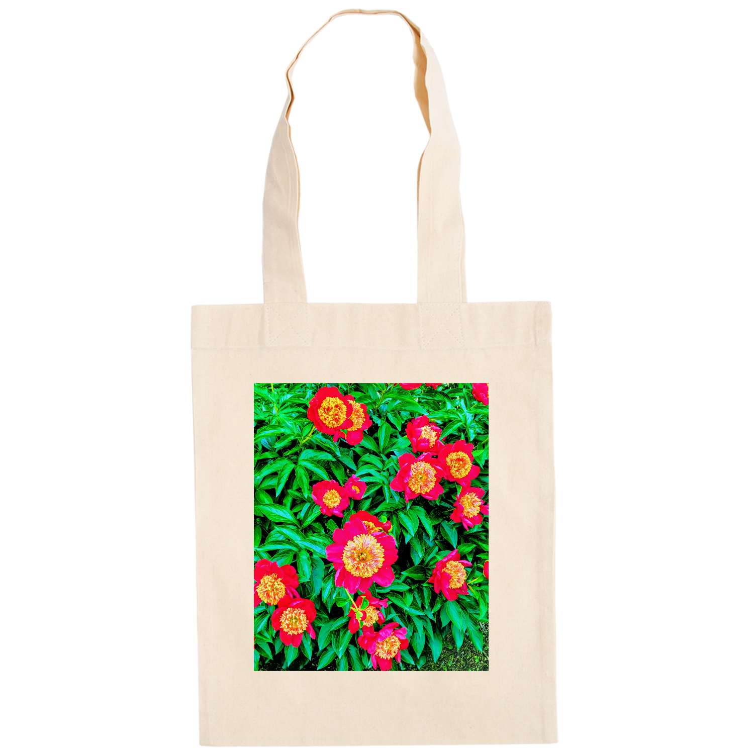 花花 ドイツテューテ【白プリントあり】