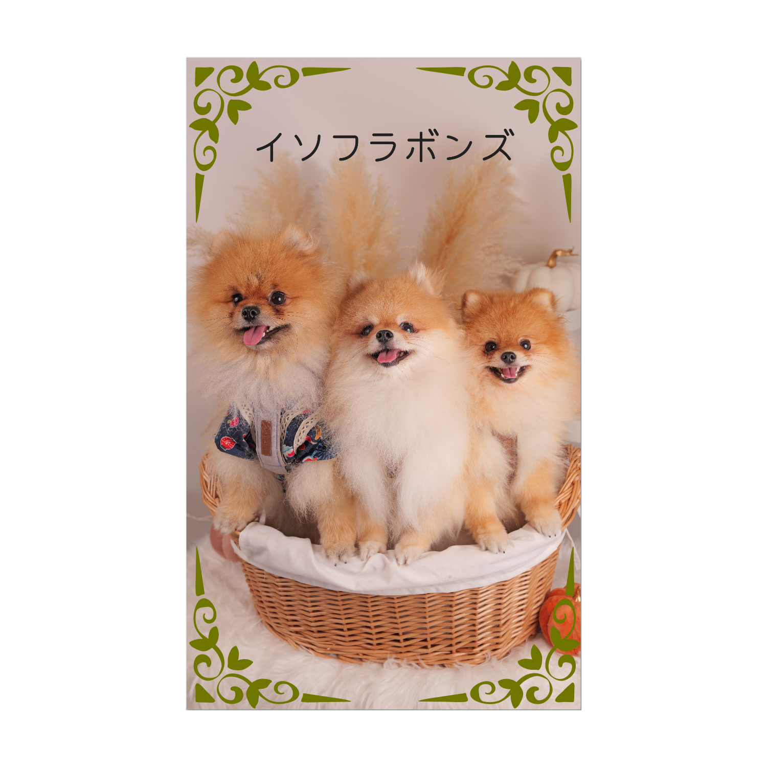 イソフラボンズカード アクリル名刺