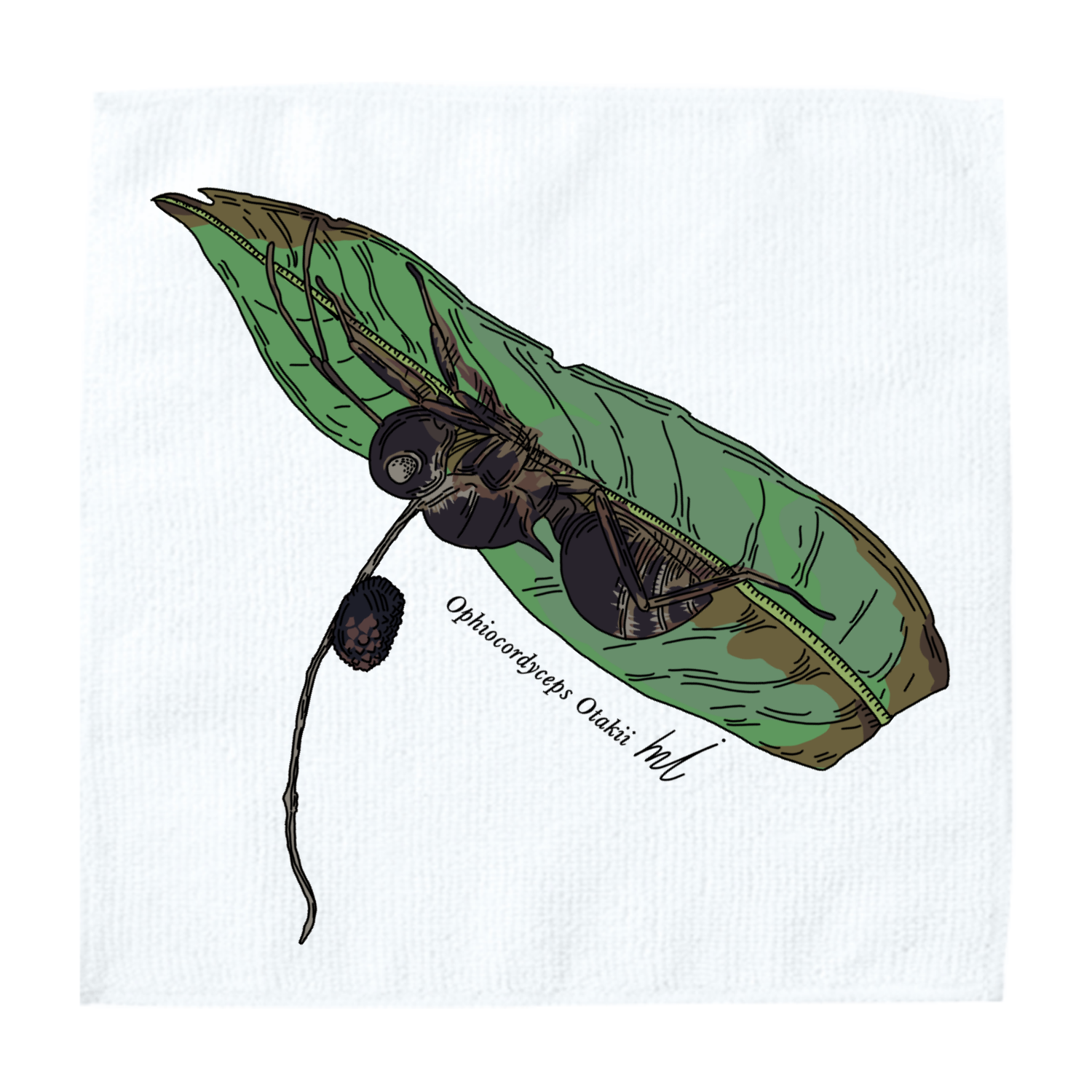 アリタケ冬虫夏草ソフトタッチミニタオルの商品購入ページ