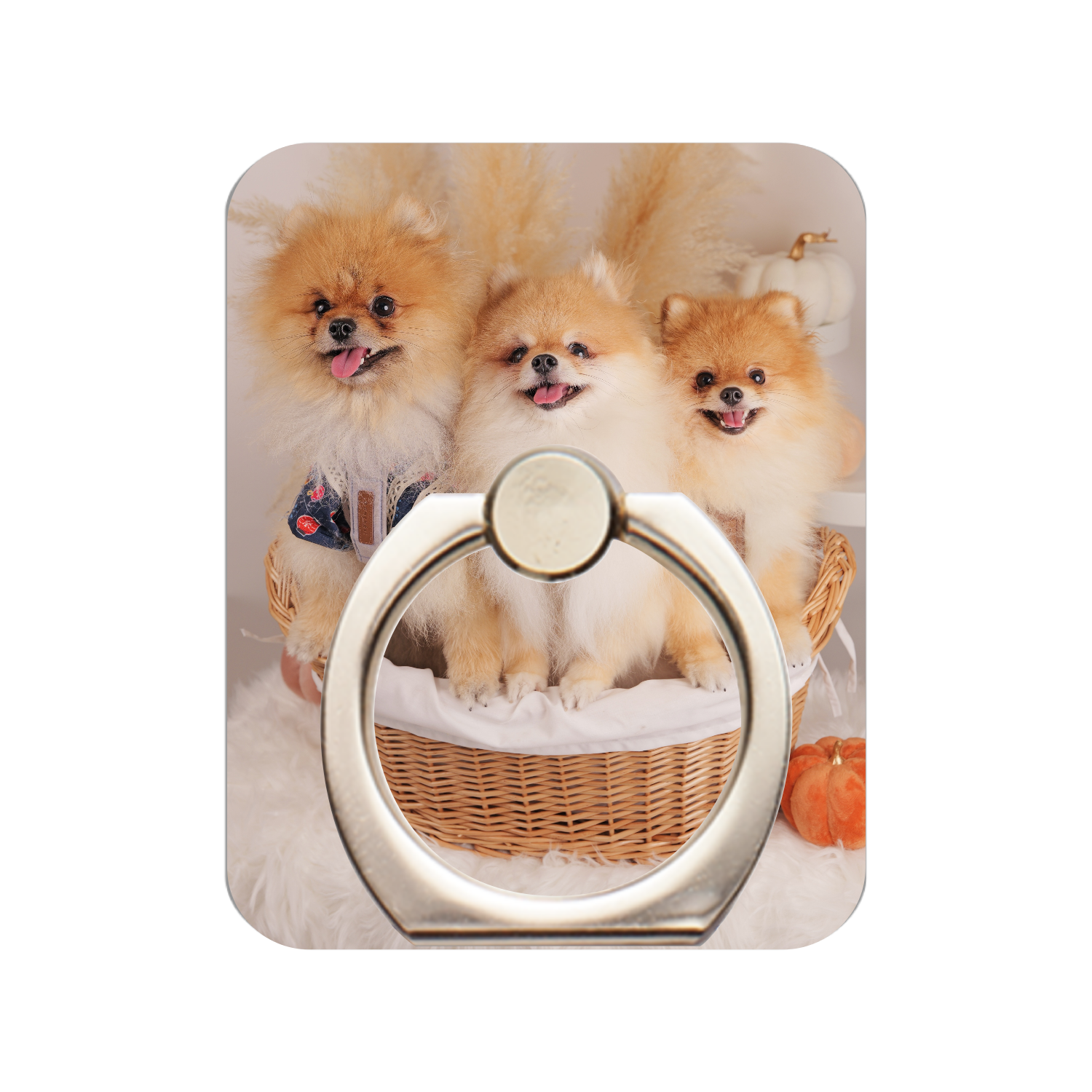 イソフラボンズスマホリング スマホリング