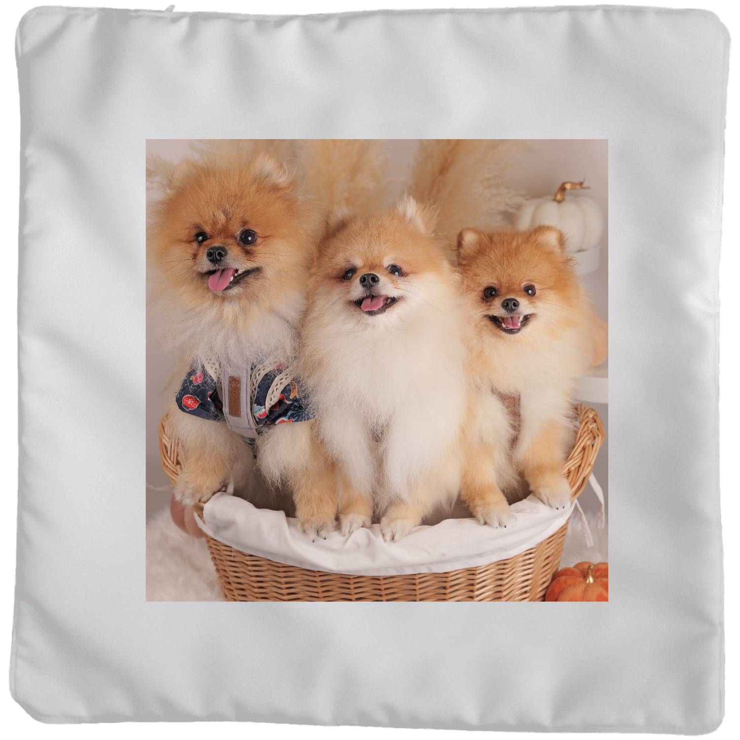 クッション（大） クッション(大)