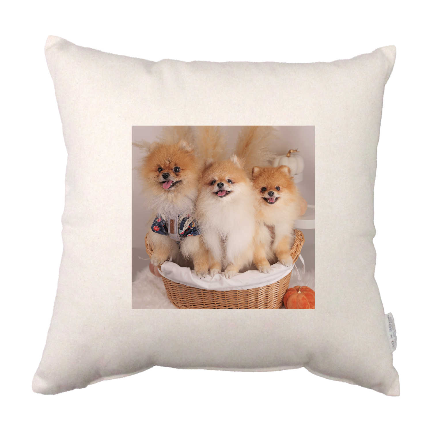 コットンクッション コットンクッション