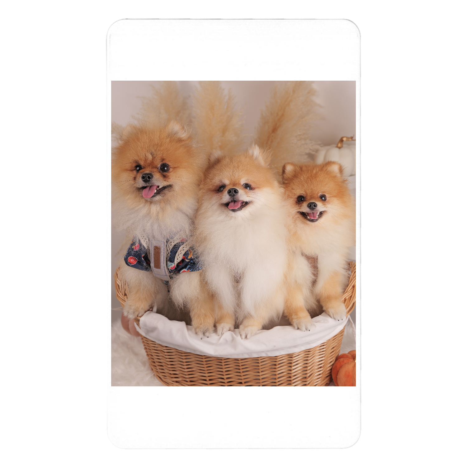 急速充電モバイルバッテリー5000mAh 急速充電モバイルバッテリー5000mAh