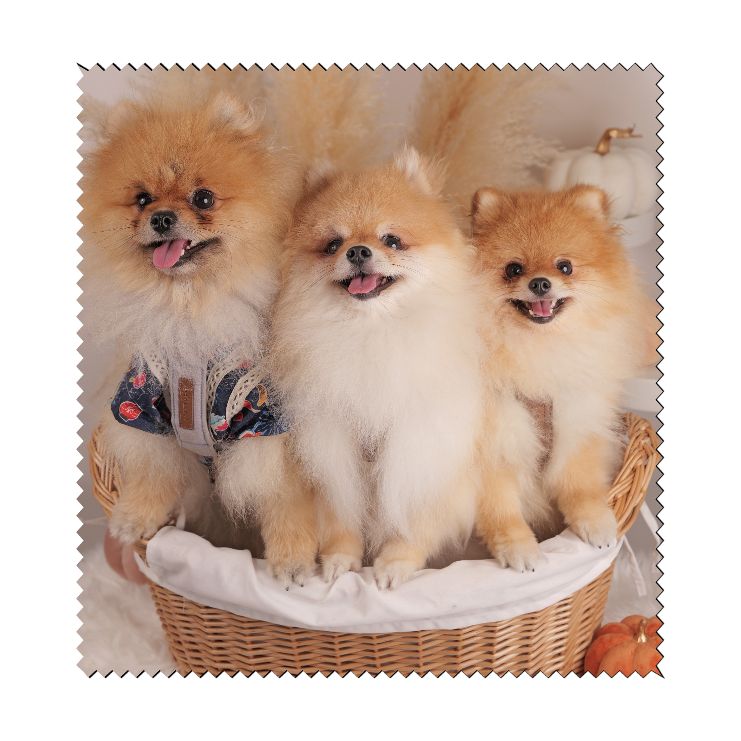 マイクロファイバー眼鏡拭き マイクロファイバーメガネ拭き