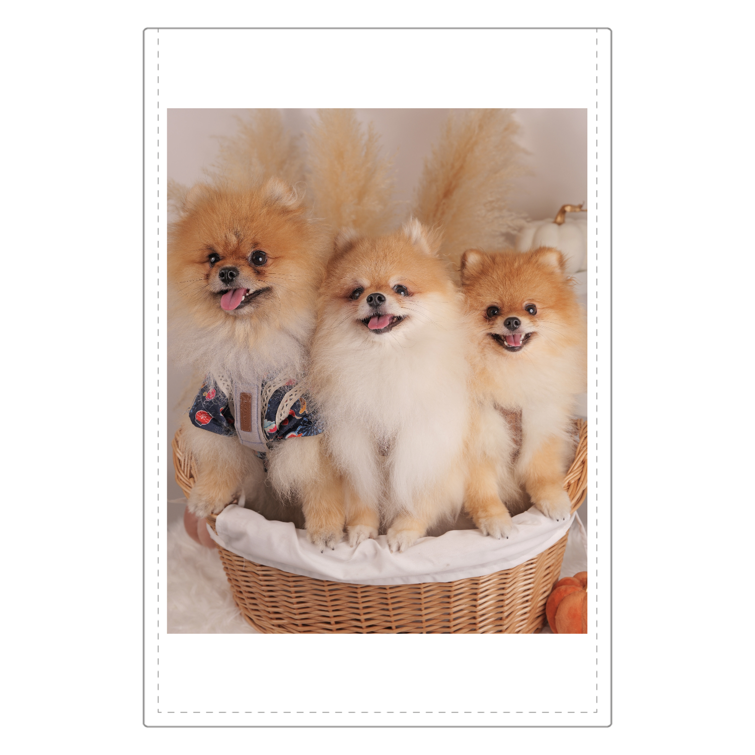 ソフトレザーミラー ソフトレザーミラー