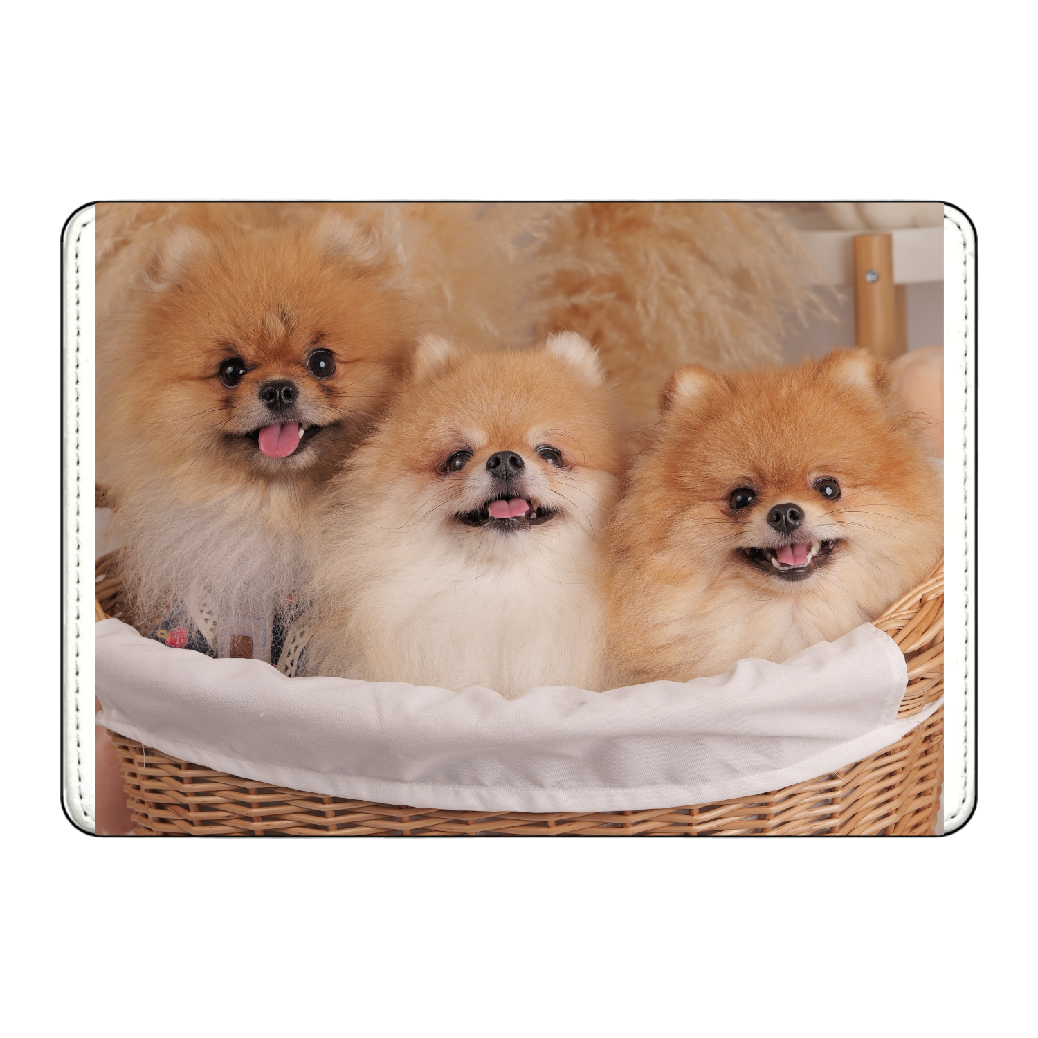 カード収納ケースカード収納ケース1