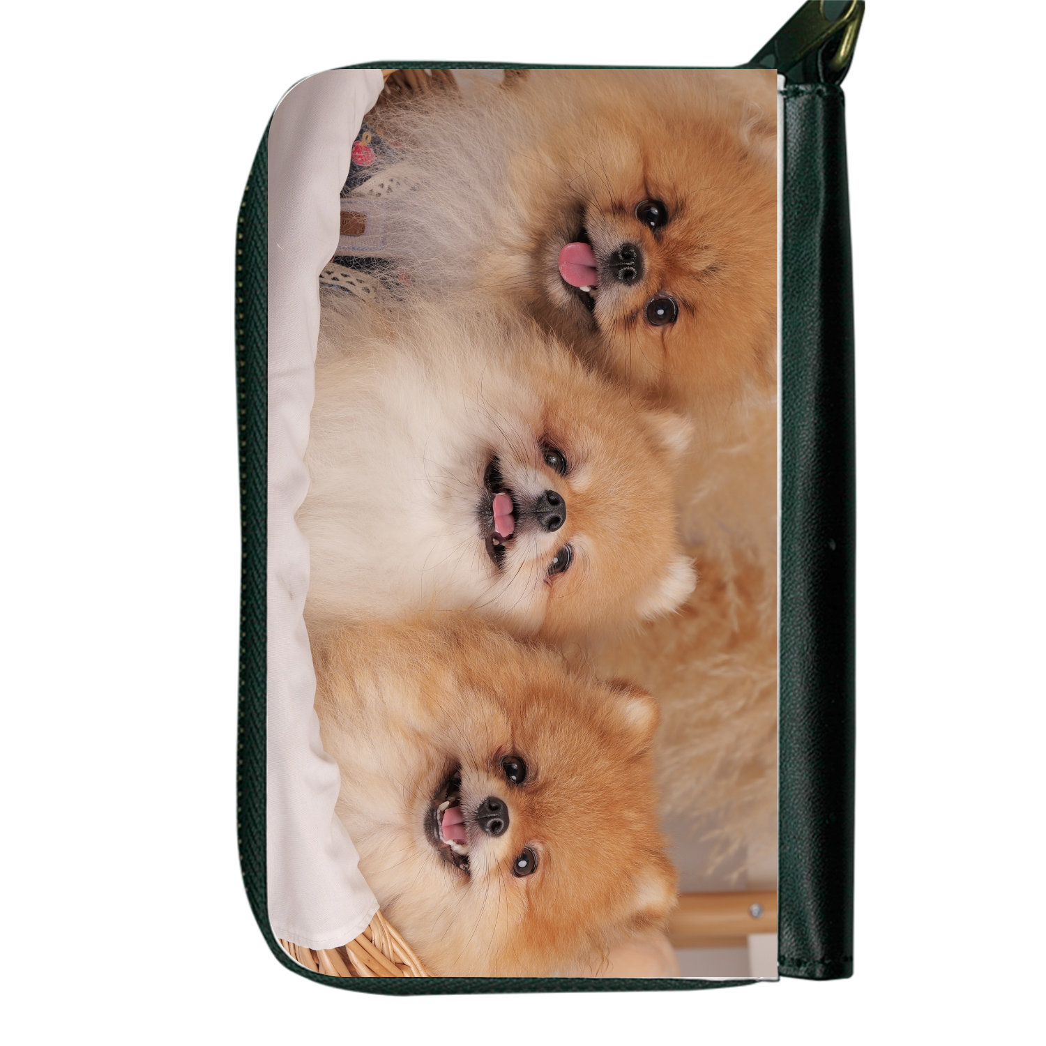 パスケース コイン・パスケース