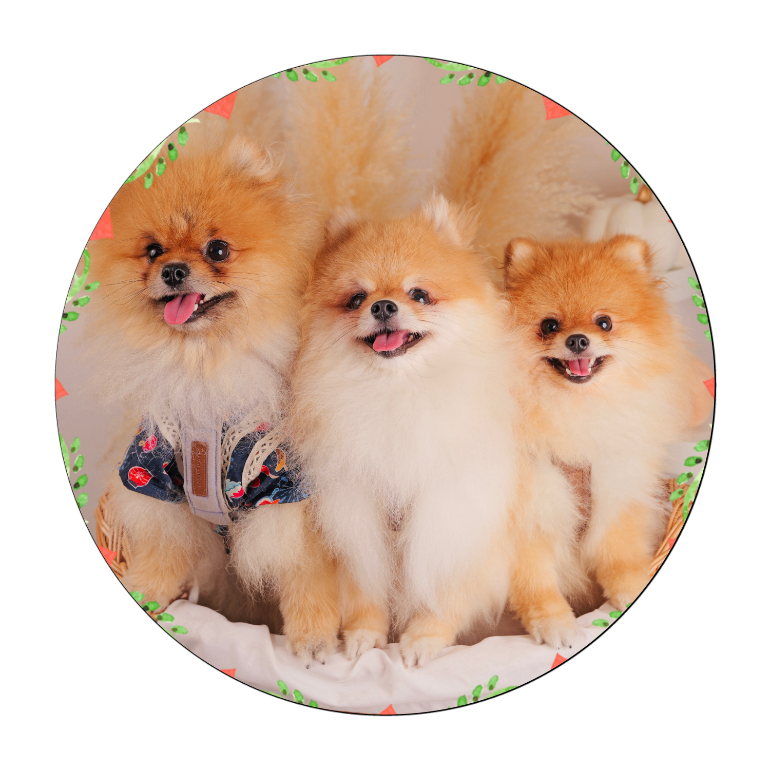 珪藻土コースター (丸) 珪藻土コースター (丸)