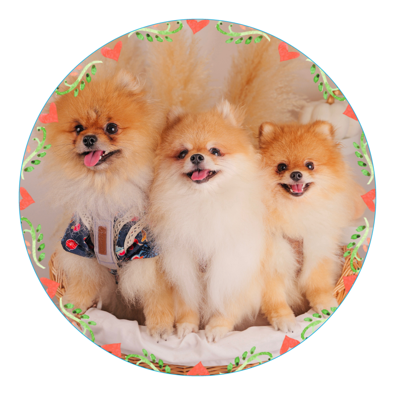 アクリルコースター（丸） アクリルコースター（丸）