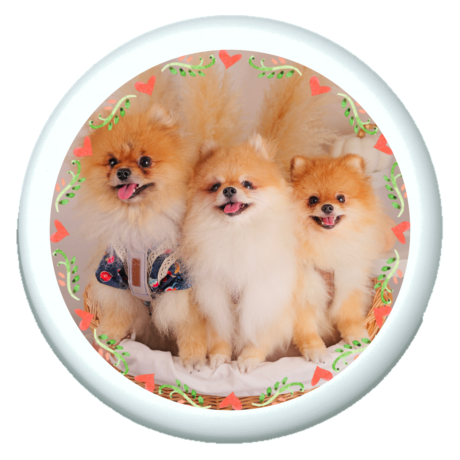 プチ缶ソフト プチ缶ソフト