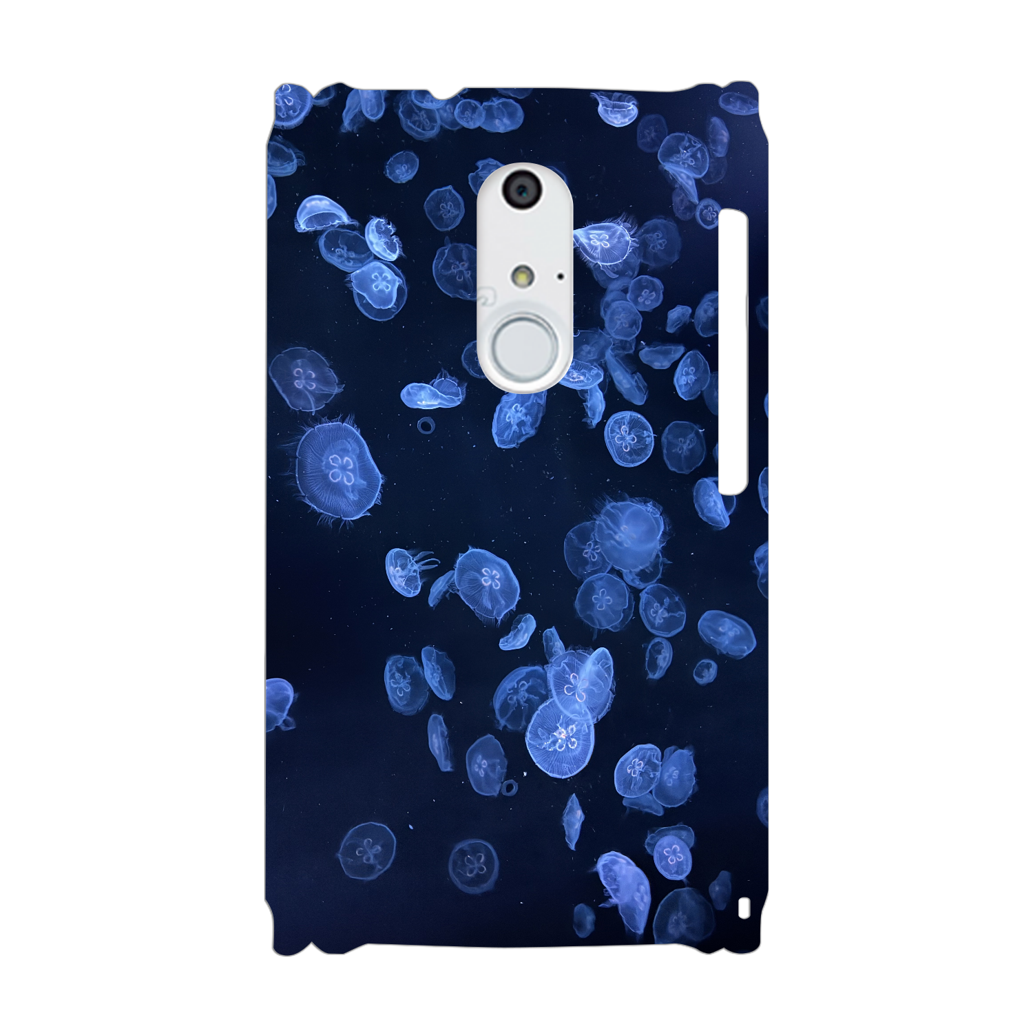 水中を泳ぐクラゲ ARROWS NX(F-01F)