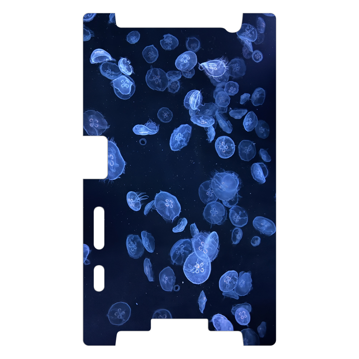 水中を泳ぐクラゲ Xperia X Compact (SO-02J)