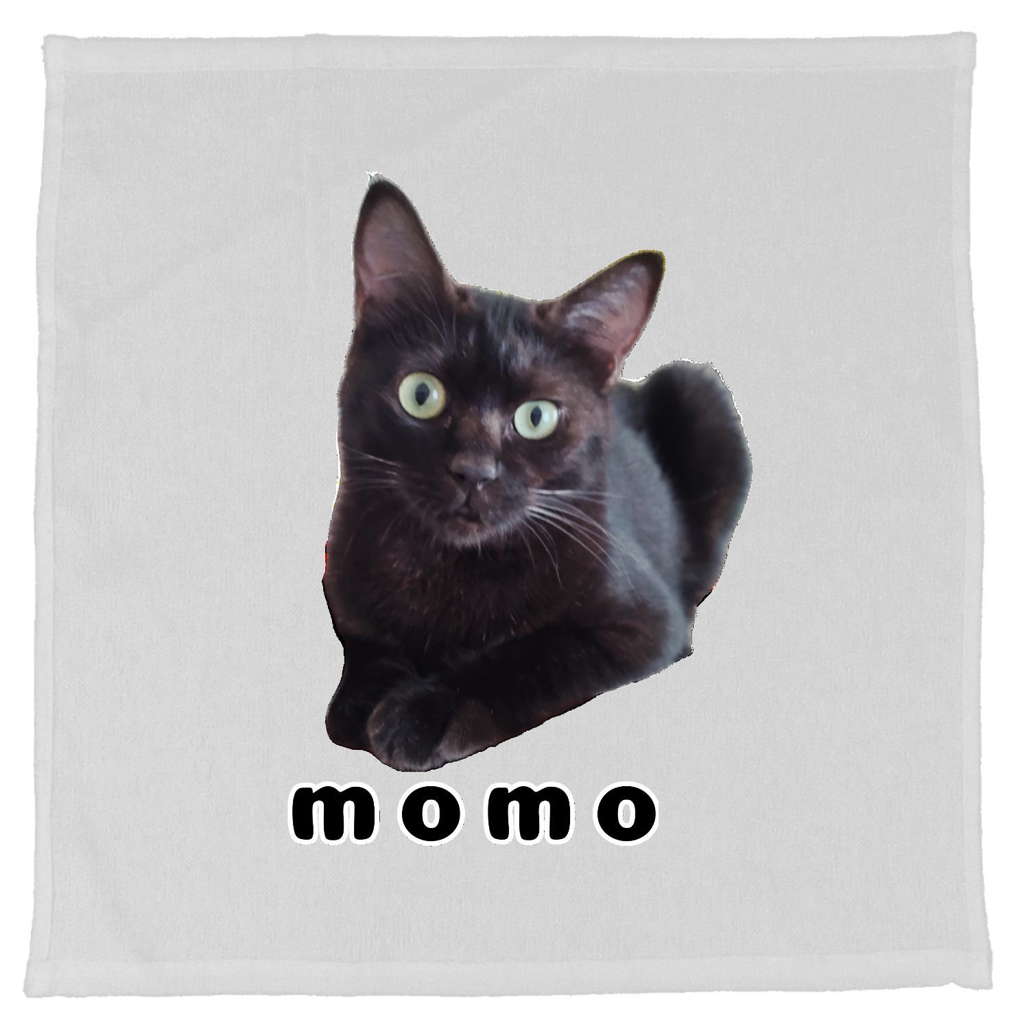 黒ねこももちゃん 薄手おしぼり