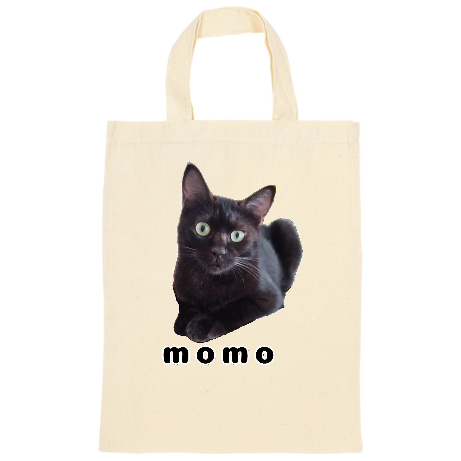 黒ねこももちゃん オーガニックコットンＡ４フラットバッグ