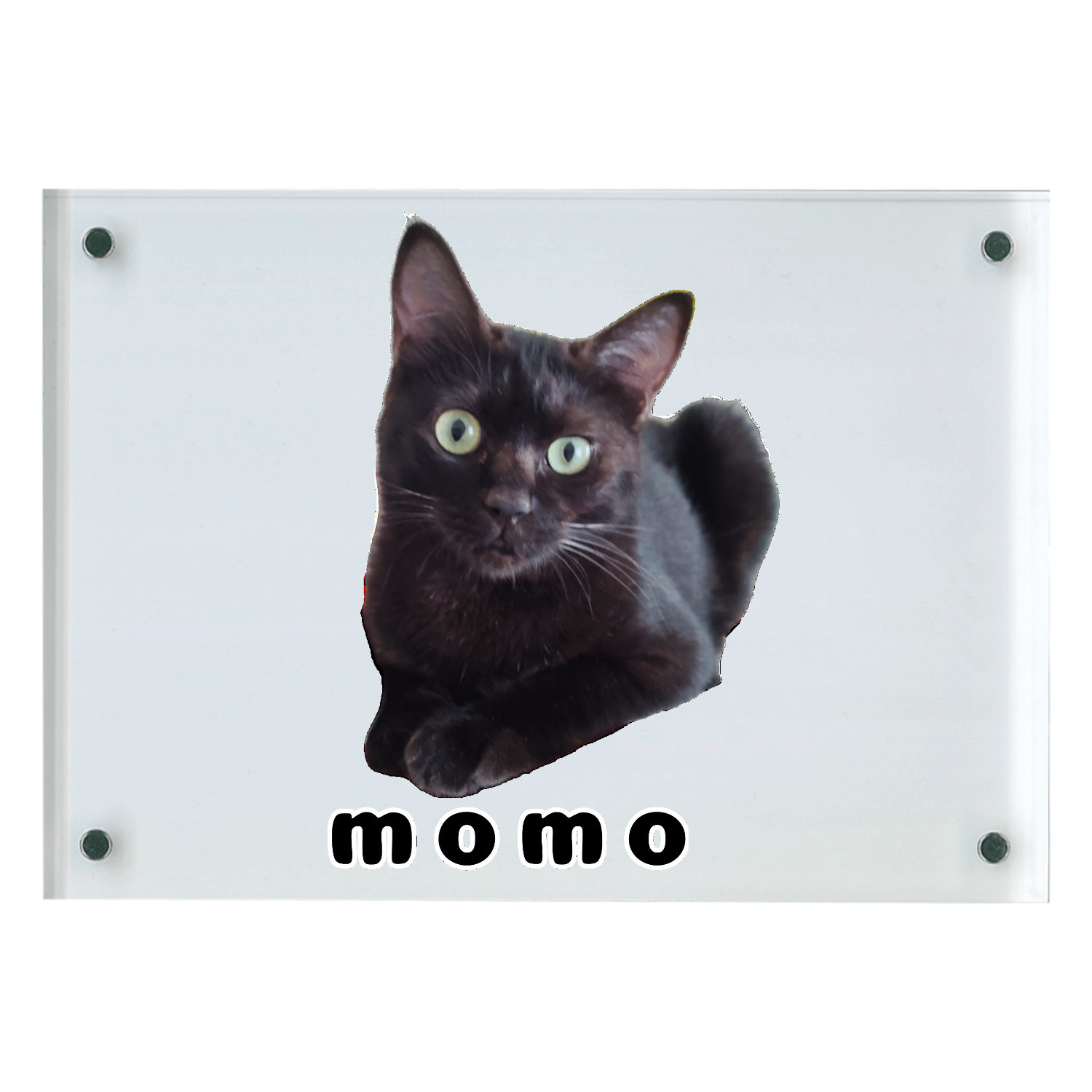 黒ねこももちゃん アクリルフォトフレーム