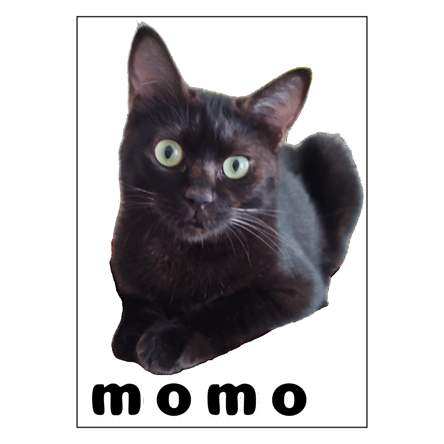 黒ねこももちゃん ポスター Ａ１サイズ