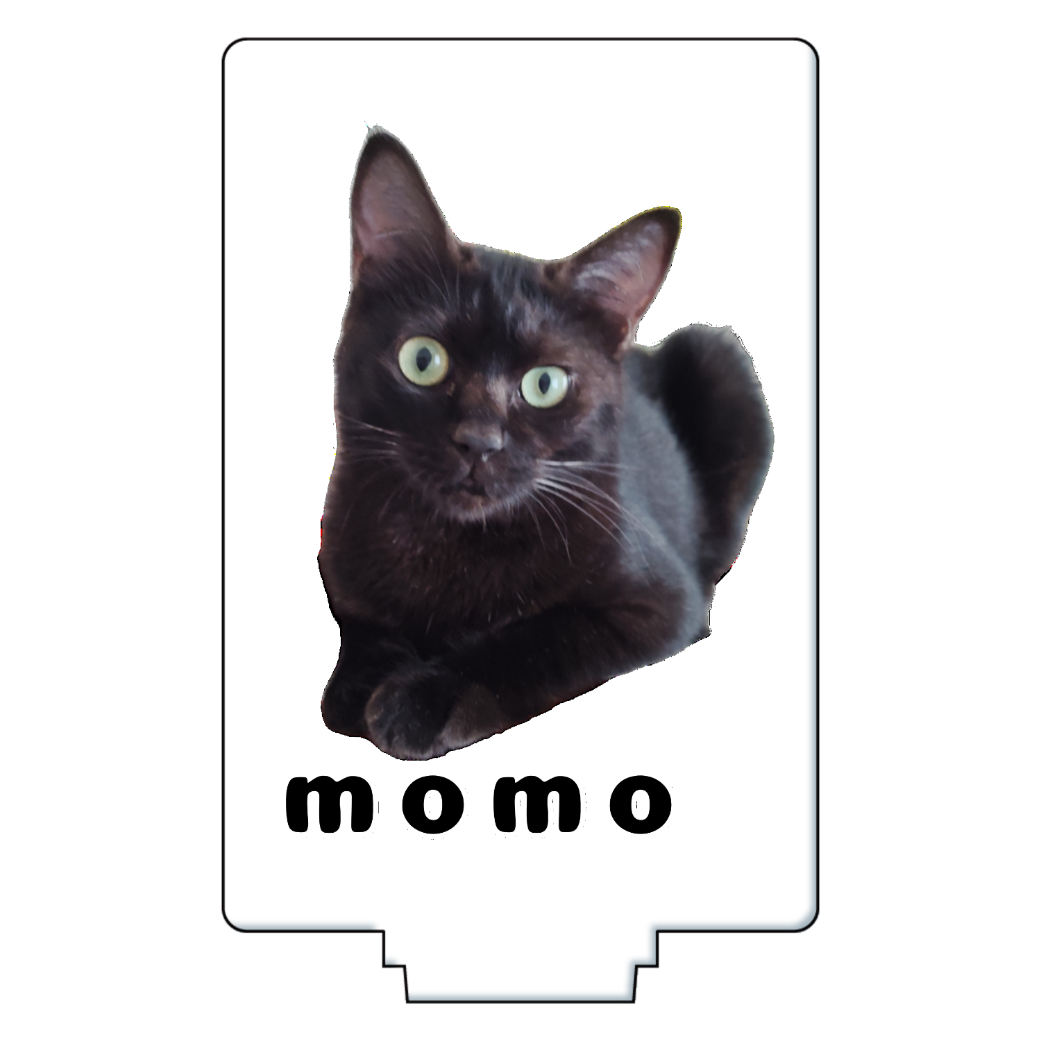 黒ねこももちゃん アクリルフィギュア長方形(50×75mm)