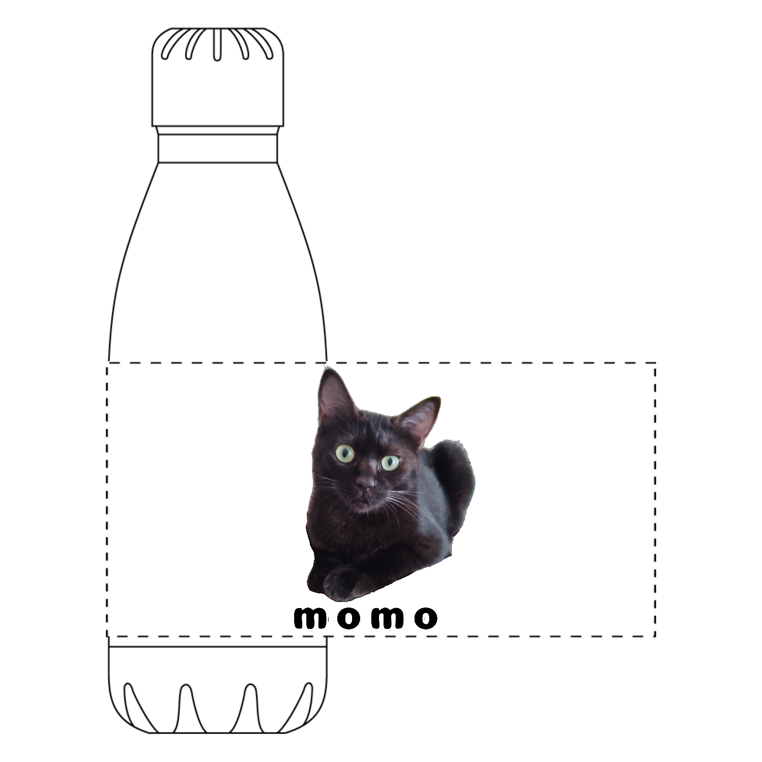 黒ねこももちゃん ロケットサーモボトル (420ml)