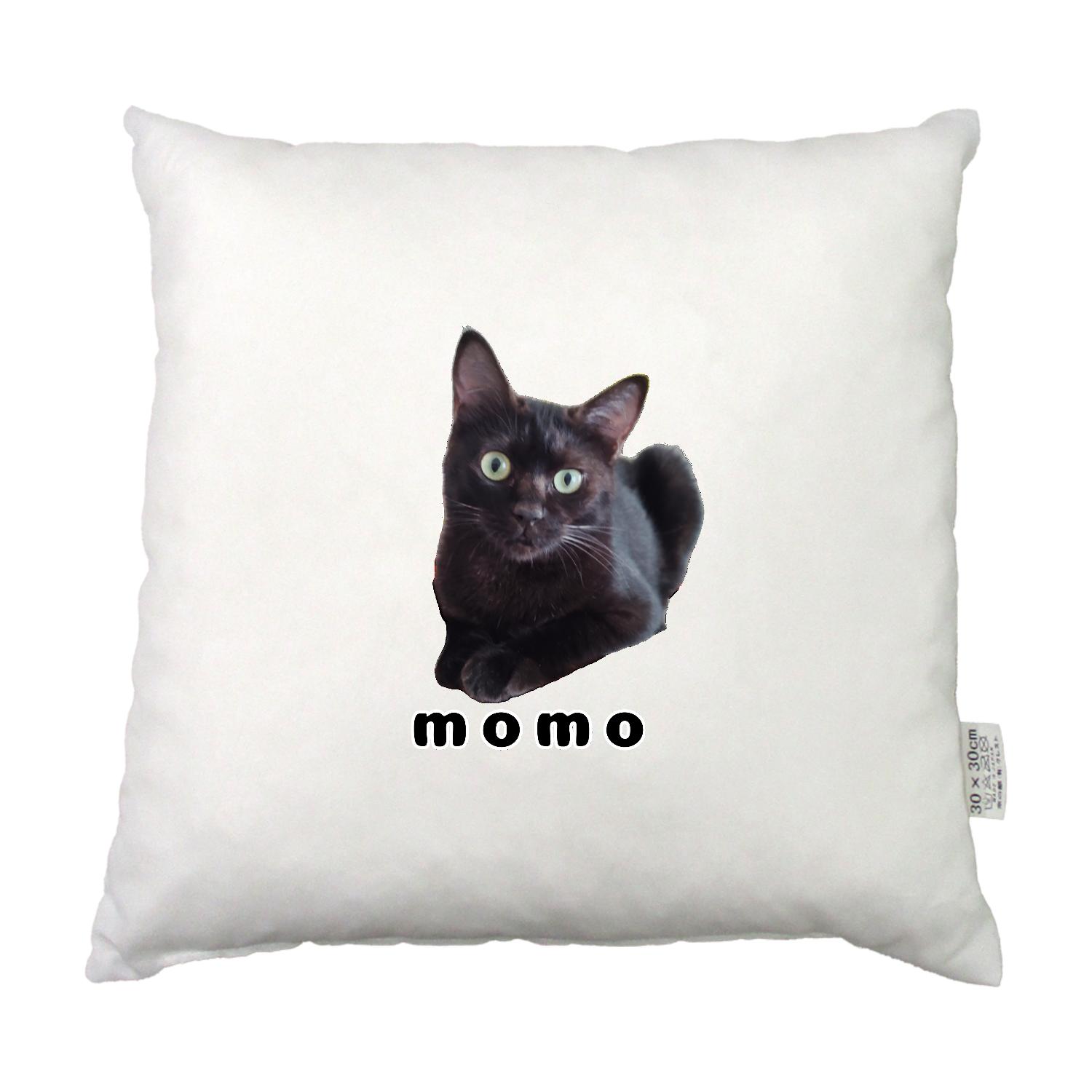 黒ねこももちゃん 低反発クッション