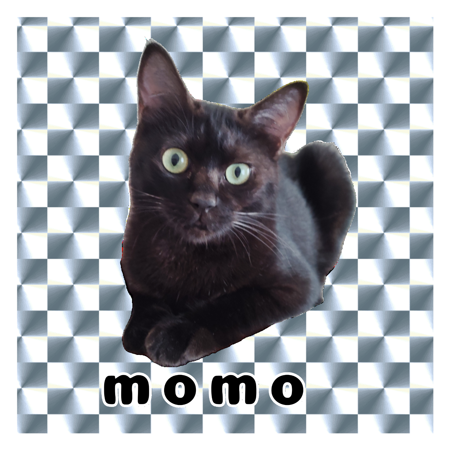 黒ねこももちゃん キラキラシール　シルバー