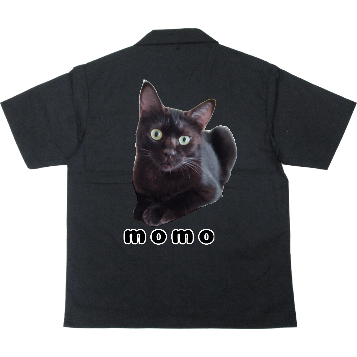 黒ねこももちゃん T/Cオープンカラーシャツ
