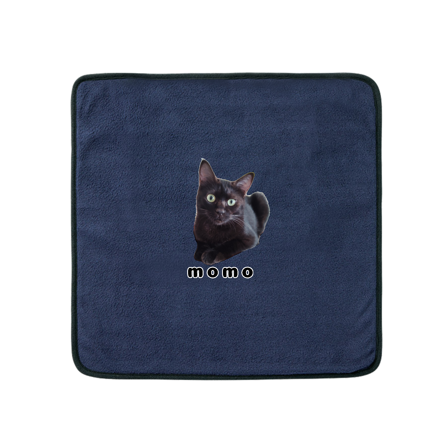 黒ねこももちゃん USBホットマット